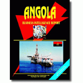 Angola Business Intelligence Report - Current Year Edition