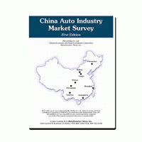 China Auto Industry Market Survey - 2003